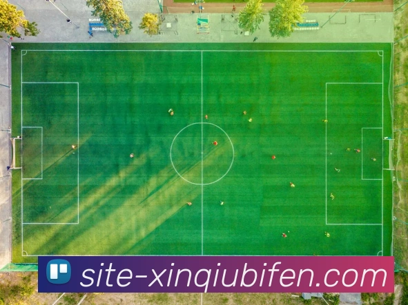 新球体育APPAPP 高清赛事图